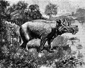 Prehistory: representation of a four-horned Uintatherium dinosaur.