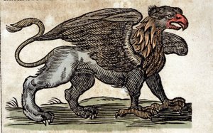 Representation of a griffon, fantastic creature half eagle half lion. Engraving from a work by Athanasius Kircher (1601 - 1680), Jesuit, orientalist and scholar.