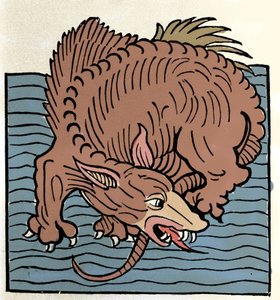 Representation of a marine monster. Engraving from Hortus Sanitatis