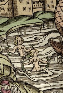 Representation of sirens. 16th century engraving by Unknown artist