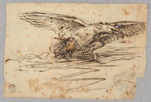 Sketches for the Representation of an Eagle Over a Thunderbolt by Unknown artist