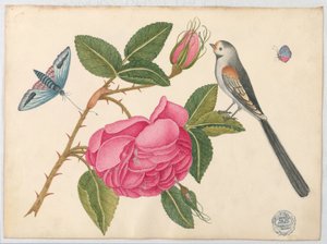 Small Black-and-White Bird on Rose Leaf with Blossoms and Butterflies
