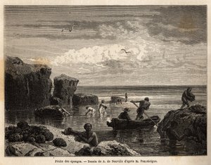 Sponge fishing by the Islanders of Anastasia Island