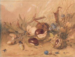 Still Life with Acorns and Horse Chestnuts by Unknown artist