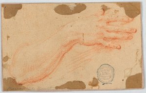 Study for the Right Forearm and Hand of a Woman by Unknown artist