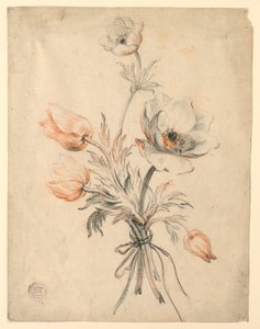 Study of a Bunch of Roses by Unknown artist