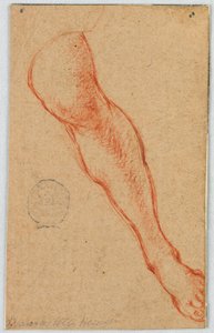 Study of the Left Leg of a Seated Woman by Unknown artist