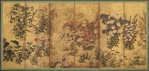 Summer and Autumn Flowers