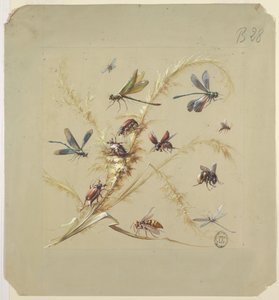 Textile or Wallpaper Design: Insects by Unknown artist