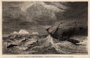 The Arcturus, a Danish liner serving between Copenhagen and Iceland, on which the author embarks to reach Reykjavik, sailing among the whales. Engraving to illustrate the voyage in Iceland, story by Noel Nougaret, in 1866, published in Le tour du monde