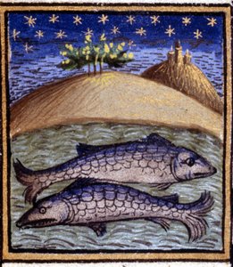The Pisces. Miniature of a horoscope. 15th century manuscript. Bibl. Trivulziana, Milan