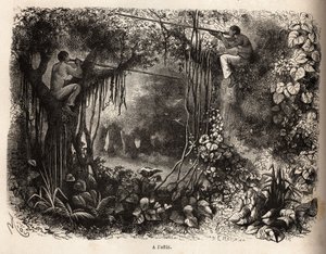 The Yahua Indians of Peru on the lookout for game by Unknown artist