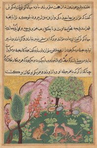 The monkey, serving as the lion’s chamberlain, converses with the lynx and its mate who have arrived with their cubs to settle in the lion’s domain (Tales of a Parrot: Twenty-ninth Night)