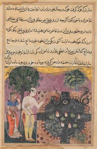 The prince, having deprived the snake of its natural food, a frog, feeds it with a piece of his own flesh, from a Tuti-nama (Tales of a Parrot): Eighteenth Night by Unknown artist