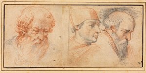 Three Head Studies