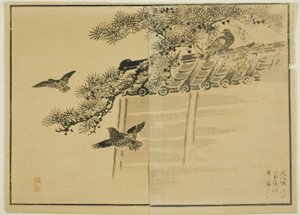 Three Kinds of Birds by a Wall