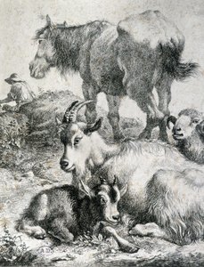 Traught horse, goat, goat and ram