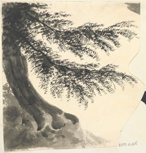 Tree by Unknown artist