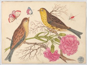 Two Brown-and-Yellow Birds on Branches with Carnations and Insects
