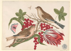 Two Brown Birds on Branch with Tulip, Berries, and Insects