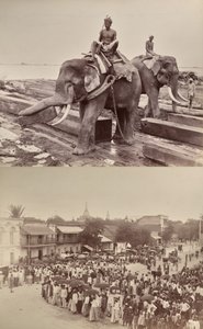 Untitled (elephants moving blocks of wood, recto; procession or crowd, verso) by Unknown artist