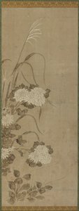 White Chrysanthemums and Grasses