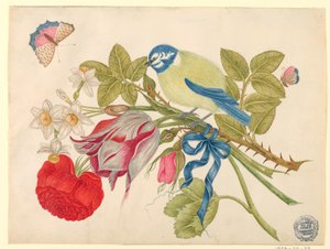Yellow-and-Blue Bird on Bouquet with Rose, Tulips, and Daffodils, with Butterflies