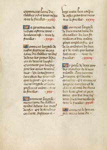 Text Page