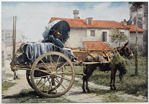 A carter carrying his wine. Rome, Italy