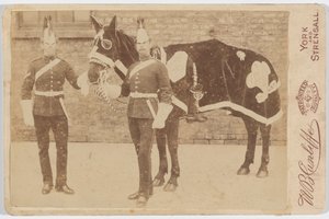 A Horse of the 3rd