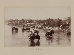 Indian Cavalrymen Watering Their Horses During the Delhi Camp of Exercise