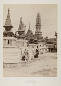 Photograph in photograph album