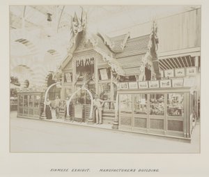 Photograph in photograph album
