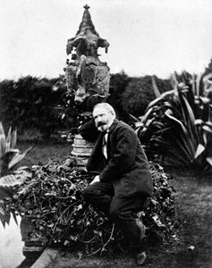 Portrait of Victor Hugo