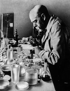 Portrait of the German doctor Robert Koch (1843-1910) in his laboratory