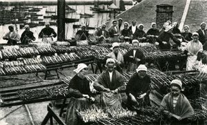 Sardine Industry, Finistère, Brittany by Unknown photographer