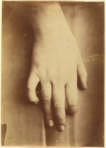 Study of a Hand, 1865 by Unknown photographer