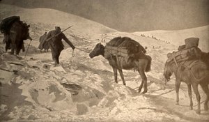 The French and Italian Positions Have More Than 2 Meters of Snow Above Sea Level by Unknown photographer