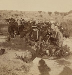 Watering Artillery horses, Welgelegen, South Africa