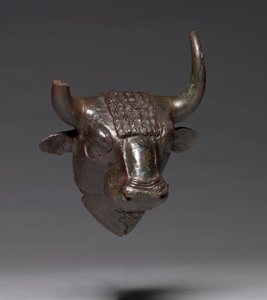Bull Head Attachment