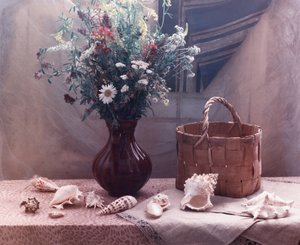 Wildflowers and Seashells Still Life by UstinaGreen