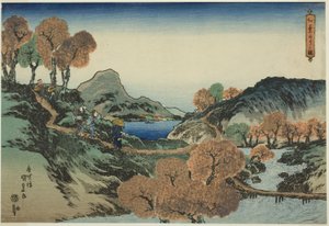 Viewing Maple Trees