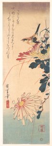 A Wren and Chrysanthemums