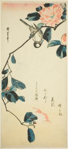 Bullfinch on Camellia Branch by Utagawa Hiroshige