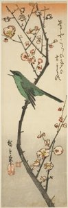 Bush Warbler and Plum