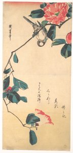 Camellia and Bullfinch