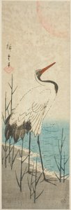 Crane and Sun