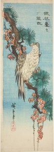 Falcon on Ivy-Covered Pine Branch by Utagawa Hiroshige
