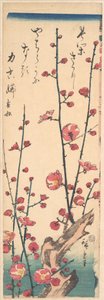 Flowering Plum Tree
