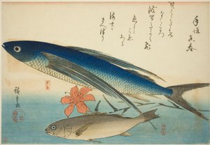 Flying Fish and Ichimochi, from an Untitled Series of Fish by Utagawa Hiroshige